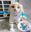 Halloween Christmas Wig Pet Hair Accessories