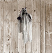 Halloween Haunted House Horror Party Decorations
