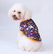 Fashionable And Simple Halloween Cat Pet Clothes