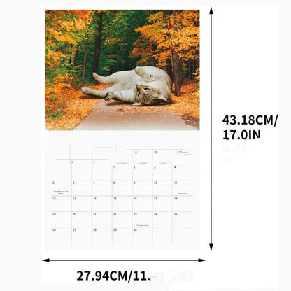 Cat Paper Calendar Interesting 2024