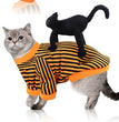 Halloween Pet Funny Black Skull Horror Make-up Cat Accessories Pet Dress Up Costume