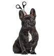 Tricky Props Pet Halloween Headdress Hat