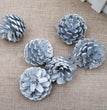 Christmas Supplies Pendant Natural Decoration Pine Cones
