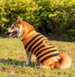 Halloween Dog Sweaters Pet Costume Teddy Warm Leisure Sweater Cosplay Clothes For Dogs Pets Outfits