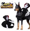 NEW Funny Pet Halloween Costume Halloween Pet Decoration Dress Up Pet Cosplay Costume Halloween Pet Clothes Spider Pumpkin Vest