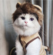 Dog Lion Clothes Pet Supplies Halloween Cat Clothes