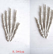 Halloween Simulation Skeleton Hand Decoration Props