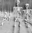 Halloween Plastic Skeleton Skeleton Simulation Human Body