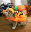 Halloween Weird Pumpkin Shape Transformation Clothes