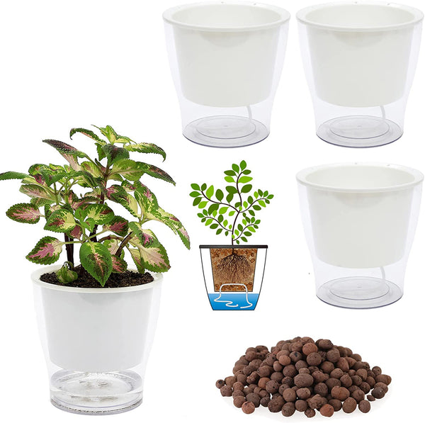 7" Clear Self-Watering Planters, 3-Pack