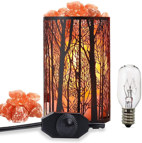 Natural Himalayan Salt Lamp with Dimmer & Metal Basket