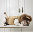 Dog Lion Clothes Pet Supplies Halloween Cat Clothes