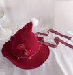 Lolita Velvet Witch Hat Halloween Wide Brim Rose Witch Hat