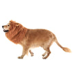 New Halloween Pet Wig Funny Lion Head Suit