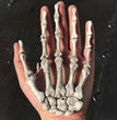 Halloween Simulation Skeleton Hand Decoration Props