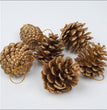 Christmas Supplies Pendant Natural Decoration Pine Cones