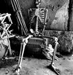 Halloween Plastic Skeleton Skeleton Simulation Human Body
