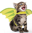 Halloween Pet Dinosaur Wings Makeover