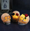 Scary Skull Dress Up Props Halloween Decorations