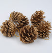 Christmas Supplies Pendant Natural Decoration Pine Cones