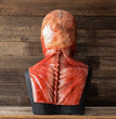 Halloween Latex Bloody Horror Skull Mask