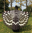 Peacock Feather Halloween Cape Chiffon Peacock Cape