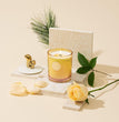 Rose Scented Candles, Candles Gifts for Women, Decorative Candles with Cute Squirrel Lid, Luxury Jar Candles for Home Decor, Natural Soy Wax, 8.5 Oz 60 Hours