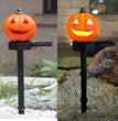 Halloween Solar Pumpkin Field Lighting Garden