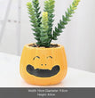 Halloween Succulent Flower Pot Ceramic Flower Pot Aromatherapy