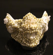 Skull Punk Rivets Performance Mask Halloween Mask