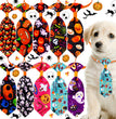 The New Wonderland Pet Halloween Series Of Halloween Skull And Necktie