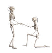 Halloween Plastic Skull Skeleton Model Scene Arrangement