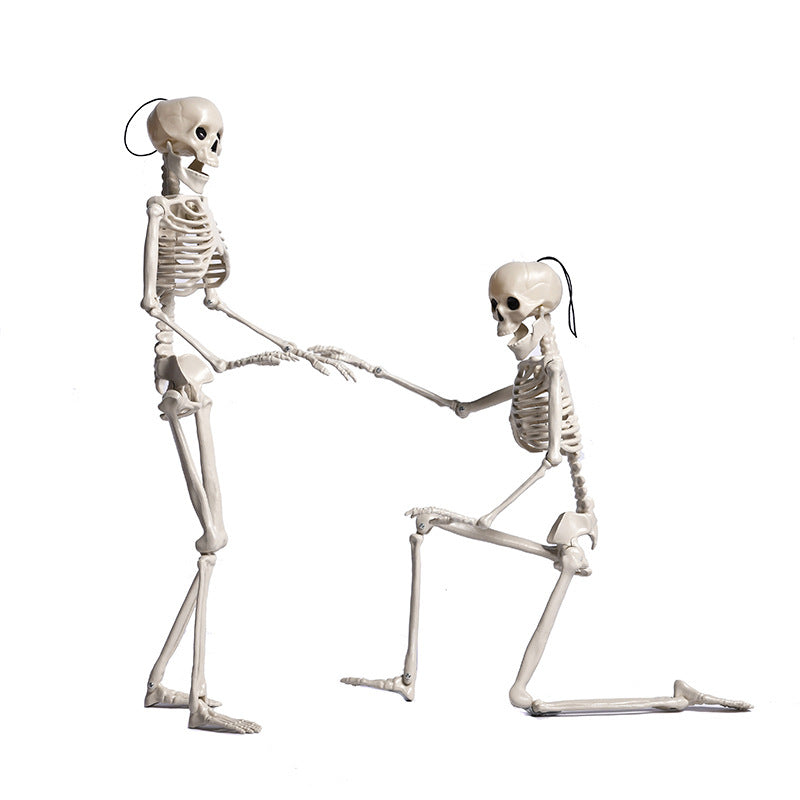 Halloween Plastic Skull Skeleton Model Scene Arrangement