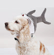 Halloween Pet Shark Hat Super Cute And Cute Transformation Headgear