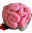 Horror Spoof Brain Hat Halloween Hand Knitted