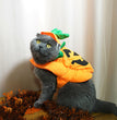 Halloween Weird Pumpkin Shape Transformation Clothes