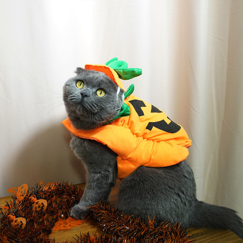 Halloween Weird Pumpkin Shape Transformation Clothes