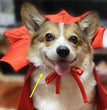 Halloween Pet Costumepet Halloween Cape Vampire King