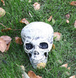 Halloween Skeleton Skeleton Set, Ghost Festival Decoration Props Simulation