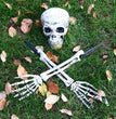 Halloween Skeleton Skeleton Set, Ghost Festival Decoration Props Simulation