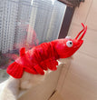 Halloween Cat Lobster Clothes New Year Christmas