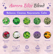 Yoni Steam Herbs - 100% Natural Vaginal Steam, 10 Yoni Herbs Aurora Bliss Blend with Filter Bag | Soothe. Rejuvenate. Heal (2-4 Steams)