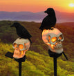 Solar Resin Halloween Crow Skull Outdoors