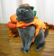 Halloween Weird Pumpkin Shape Transformation Clothes