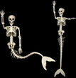 Halloween Skull Fish-skeleton Hanger Fixed Posture Simulation Chamber Props