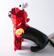 Turn Into A Cat And Dog Costume For Halloween