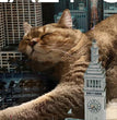 Cat Paper Calendar Interesting 2024