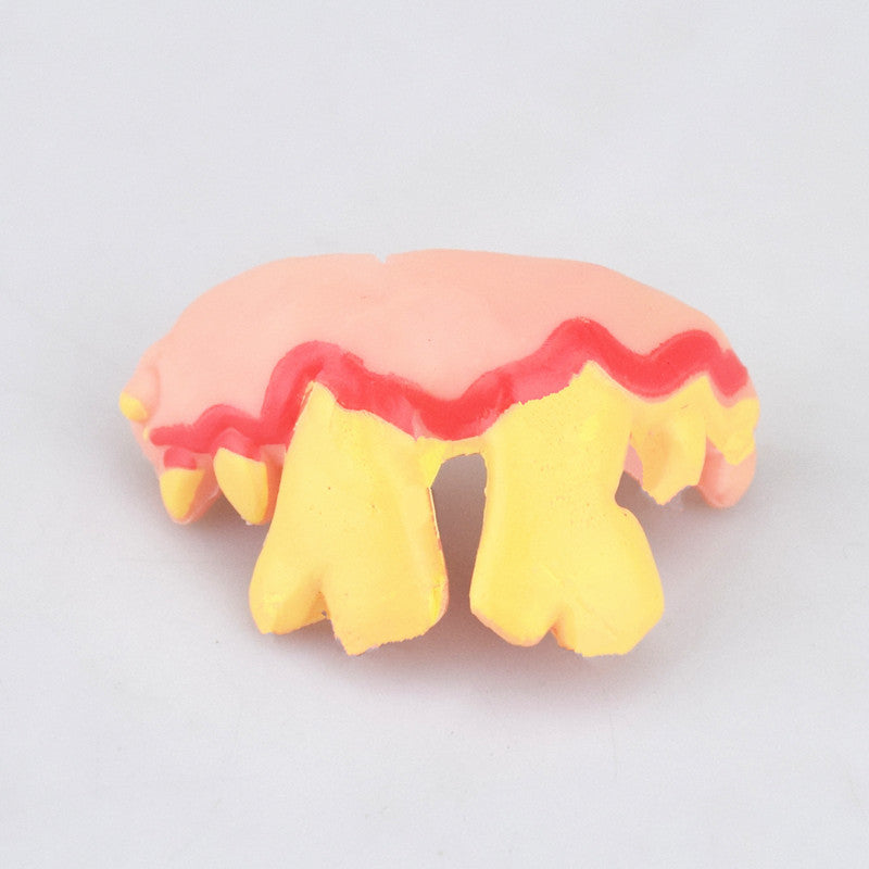 Fashion Simple Halloween Weird Fake Teeth Toys