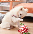 Dog Soccer Balls Toy With Sraps Halloween Christmas Gift For Pets Puppy Birthday Toy Interactive Toys For Tug Of War Water Toys