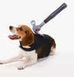 Creative Halloween Tricks For Cats And Dogs